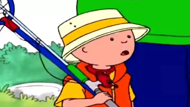 Caillou en Français - Caillou et L'aventure de la Pêche | dessin animé | conte | WildBrain