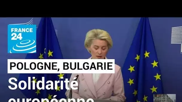 La Pologne et la Bulgarie "reçoivent désormais du gaz de leurs voisins européens" • FRANCE 24