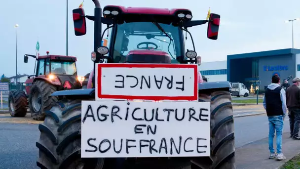 Dans l’Ain, les agriculteurs bloquent deux centrales d’achat de la grande distribution