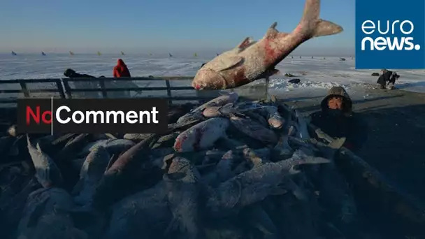 La saison de la pêche sous glace a débuté en Chine