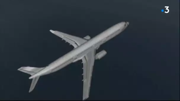 En 2012, quatre avocats assignaient Airbus et Air France en justice pour le crash du vol Rio-Paris