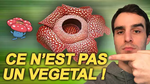 CE N'EST PAS UN VÉGÉTAL ! SciVlog #4