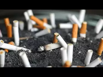 Le tabac, danger pour la santé, mais aussi "poison pour la planète"