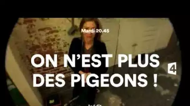 Bande-annonce : On n&#039;est plus des pigeons ! du 22/04