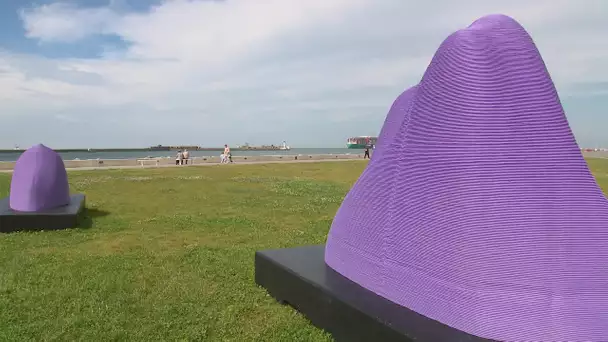 Festival "un été au Havre",  une exposition en plein air pour des oeuvres contemporaines malicieuses