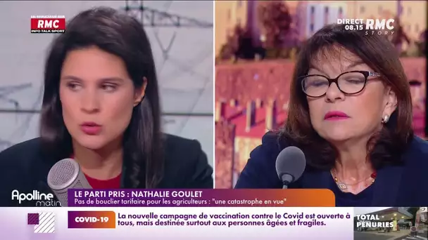 Pas de bouclier tarifaire pour les agriculteurs : "une catastrophe" pour Nathalie Goulet
