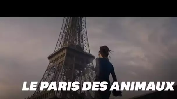 "Les Animaux Fantastiques 2" s'empare de Paris (et de ses clichés)