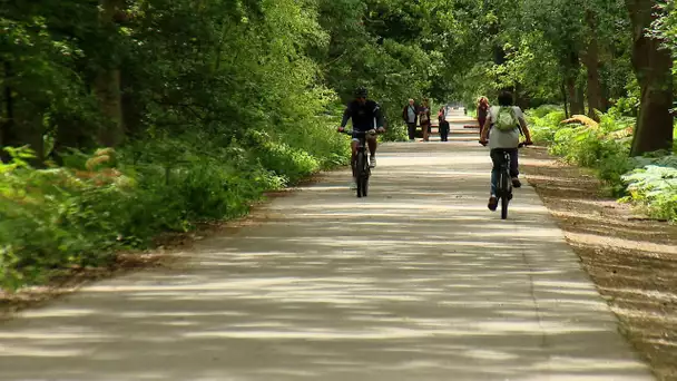 L' écocampus du Madrillet suspendu par la Métropole