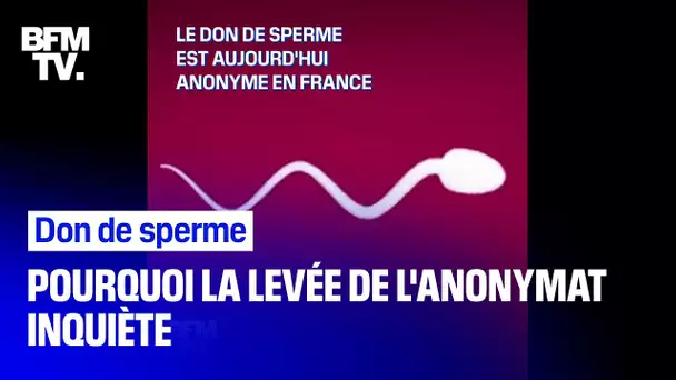 Don de sperme: pourquoi la possible levée de l'anonymat inquiète