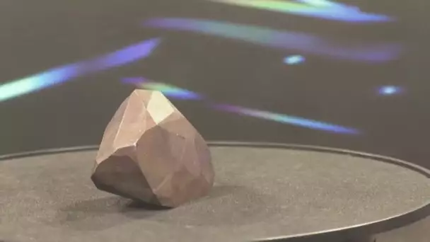 Ce rarissime diamant noir de 555 carats sera bientôt vendu aux enchères