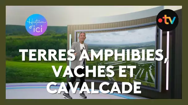 Histoire d'Ici: le Marais de Brouage.