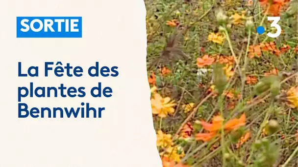 La 17e Fête des plantes au parc de Schoppenwihr