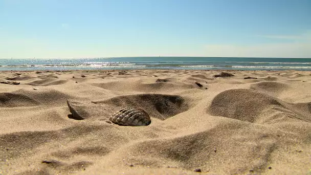 Mauguio: la plage du Petit-Travers, fragile banc de sable entre mer et étang, sauvée de l'érosion