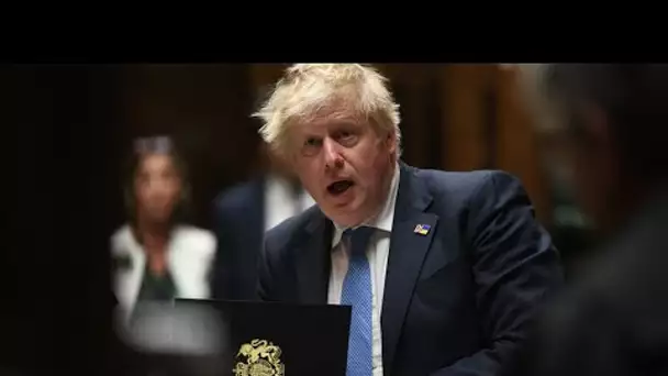 "Partygate" : le Parlement britannique ouvre une enquête contre Boris Johnson • FRANCE 24