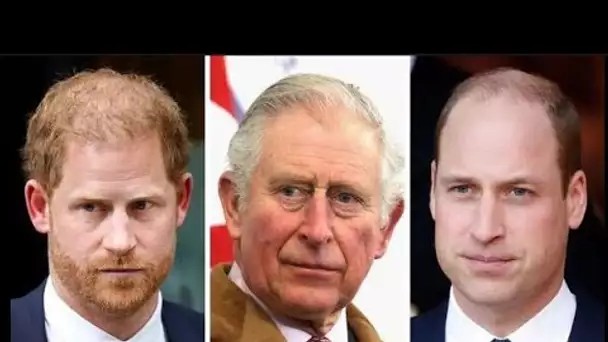 Le prince Harry et la famille royale sont dans le doute sur « le niveau de méfiance entre eux »