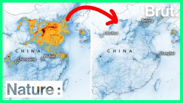 L'épidémie de coronavirus fait chuter la pollution en Chine