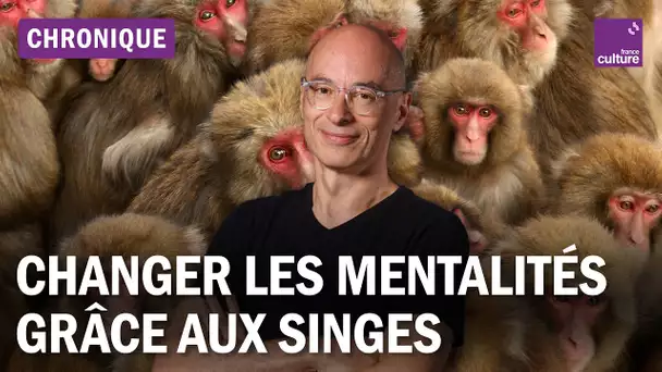 Changer les mentalités de toute une espèce grâce à la "théorie du 100e singe"