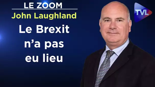 Le Brexit n’a pas eu lieu - Le Zoom - John Laughland - TVL