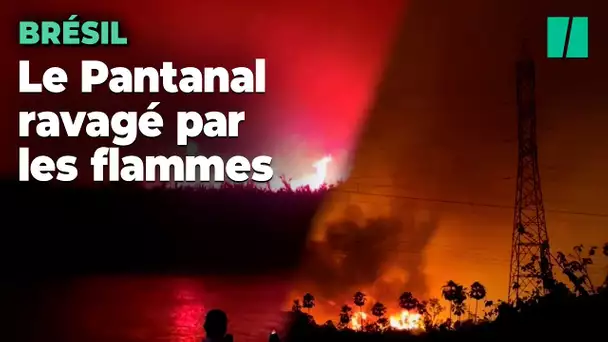 Au Brésil, la plus grande zone humide du monde en proie à des incendies « hors de contrôle »