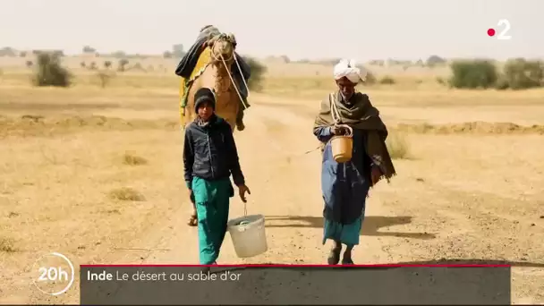 Inde : dans le désert du Thar, l’eau vaut de l’or