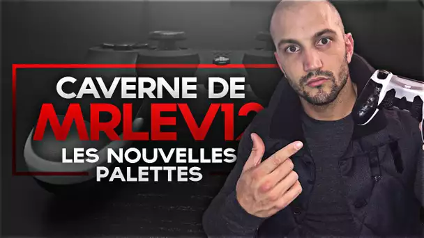 Caverne de MrLEV12 : les nouvelles palettes Reflex de BurnController