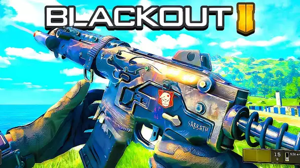 BLACKOUT 2 en 2024 ?