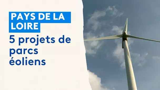 Eoliennes en Pays de la Loire. 5 projets retenus par le ministère de la Transition énergétique