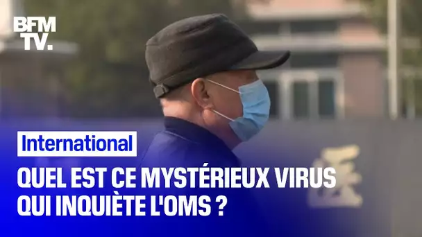 Quel est ce mystérieux virus venu de Chine qui inquiète l'OMS ?