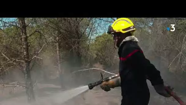 Hérault : l'origine des feux de Nissan, Aumes et Saint-Pargoire très "suspecte" pour les pompiers