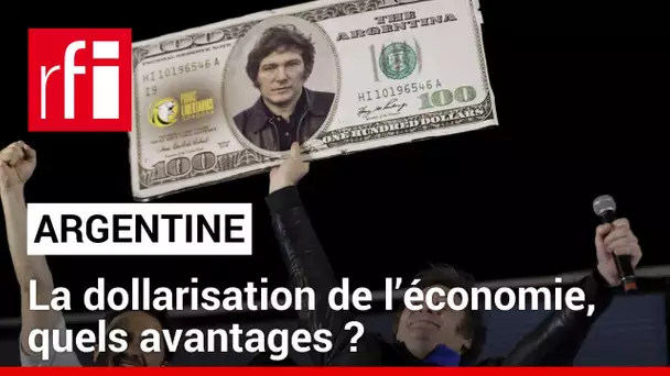 Argentine : la dollarisation de l’économie, quels avantages ? • RFI