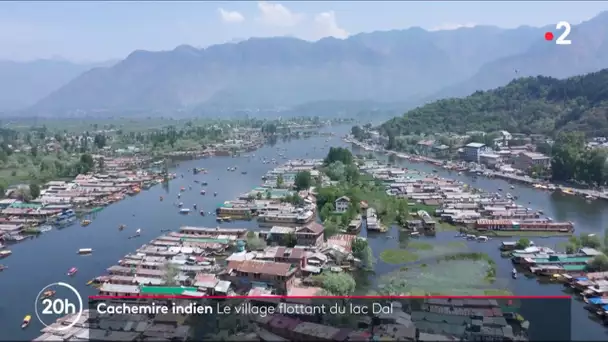 🇮🇳 🚣‍♂️ Le lac Dal, un village flottant au cœur du Cachemire