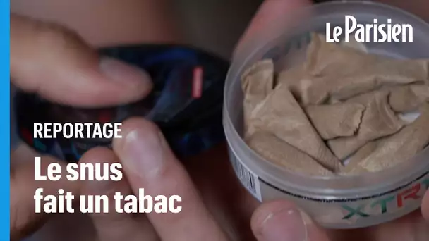 Tabac à sucer : le snus séduit les plus jeunes