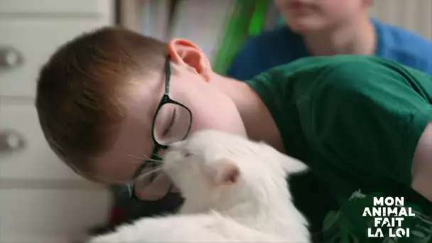 Mon animal fait la loi - Vernon fait pipi partout depuis l'arrivée d'un nouveau chat à la maison