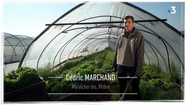 Je tiens à ma terre : Cédric Marchand, maraîcher bio dans le Rhône