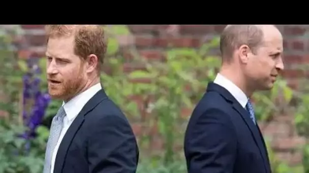 Harry a conseillé de "aggraver les choses" et de jeter Kate et William sous le bus dans la rangée ro