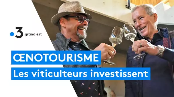 Le succès de l'œnotourisme sur la route des vins d'Alsace