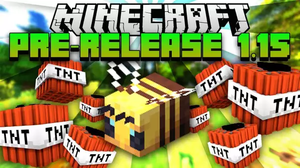 Minecraft 1.15 Pre-Release / Date de sortie et Méga TNT !