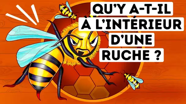 Ce que tu Verrais si tu Pouvais Entrer Dans une Ruche d’Abeilles