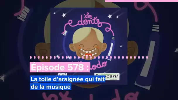 Les dents et dodo - “Épisode 578 : La toile d’araignée qui fait de la musique”