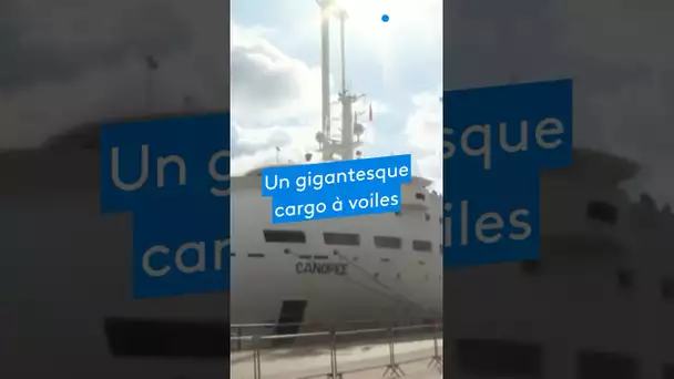 Le Canopée, premier cargo à voiles commercial au monde, amarré à Bordeaux