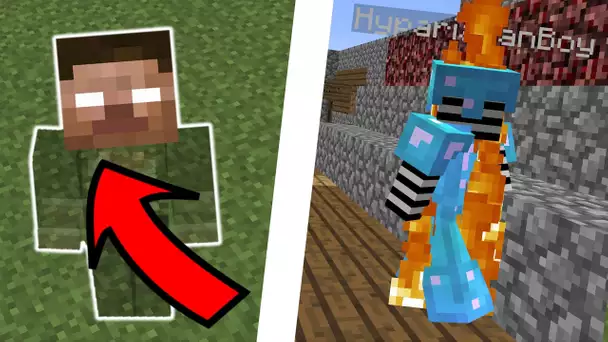 HEROBRINE PRANK SUR MES ABONNES EN MODE GROS TROLL !