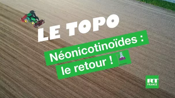 LE TOPO - Néonicotinoïdes : le retour !