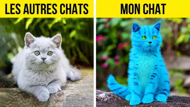 ASTUCES ET GADGETS GÉNIAUX POUR TES ADORABLES ANIMAUX