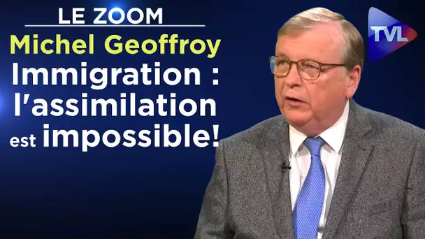 "Immigration : l'assimilation est impossible !" - Le Zoom - Michel Geoffroy - TVL