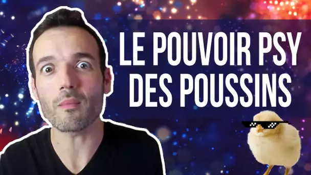 Les Pouvoirs Psy des poussins ! Et autres expériences... - Mental Vlog 63/366