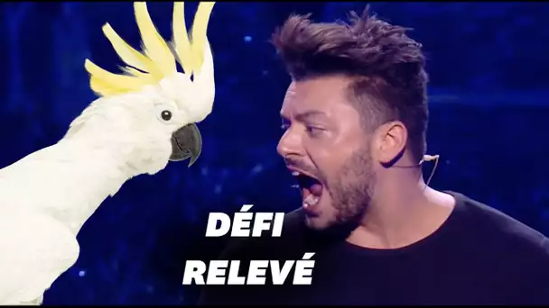 Sur TF1, Kev Adams relève en direct le défi que les internautes lui ont lancé