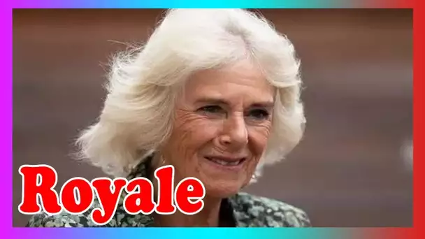 Les fans royaux jaillissent d'un doux m0ment entre Camilla et une jeune fille