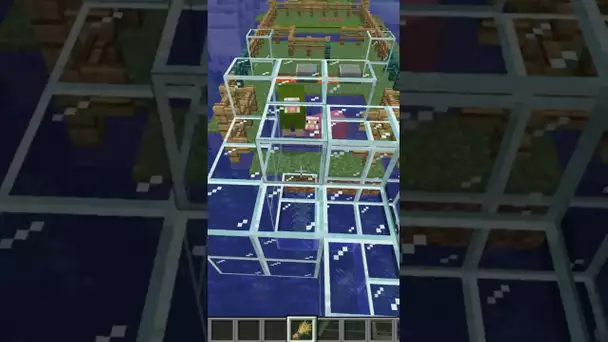 La Première Course de Moutons Minecraft 🤣🐑