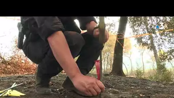 Incendie dans le Var : enquête sur l'origine du feu