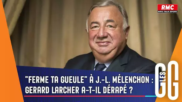 "Ferme ta gueule" : Gerard Larcher a-t-il dérapé ?